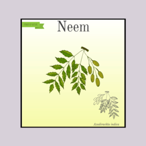 Neem-leaf
